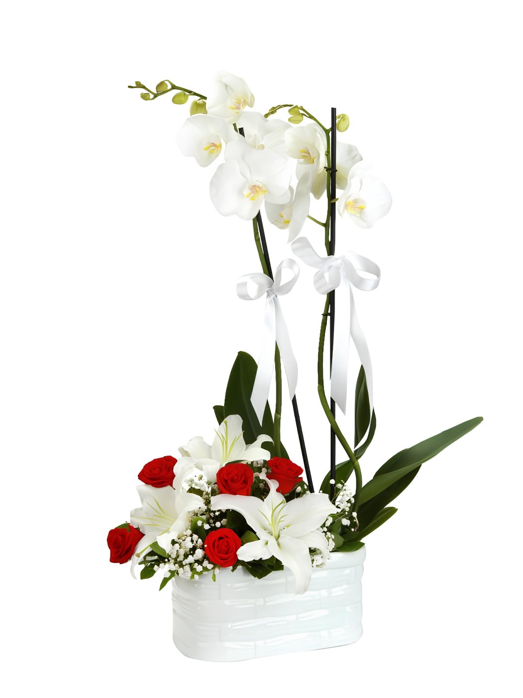 Çift Dallı Orkide Ve Seramikte Güller