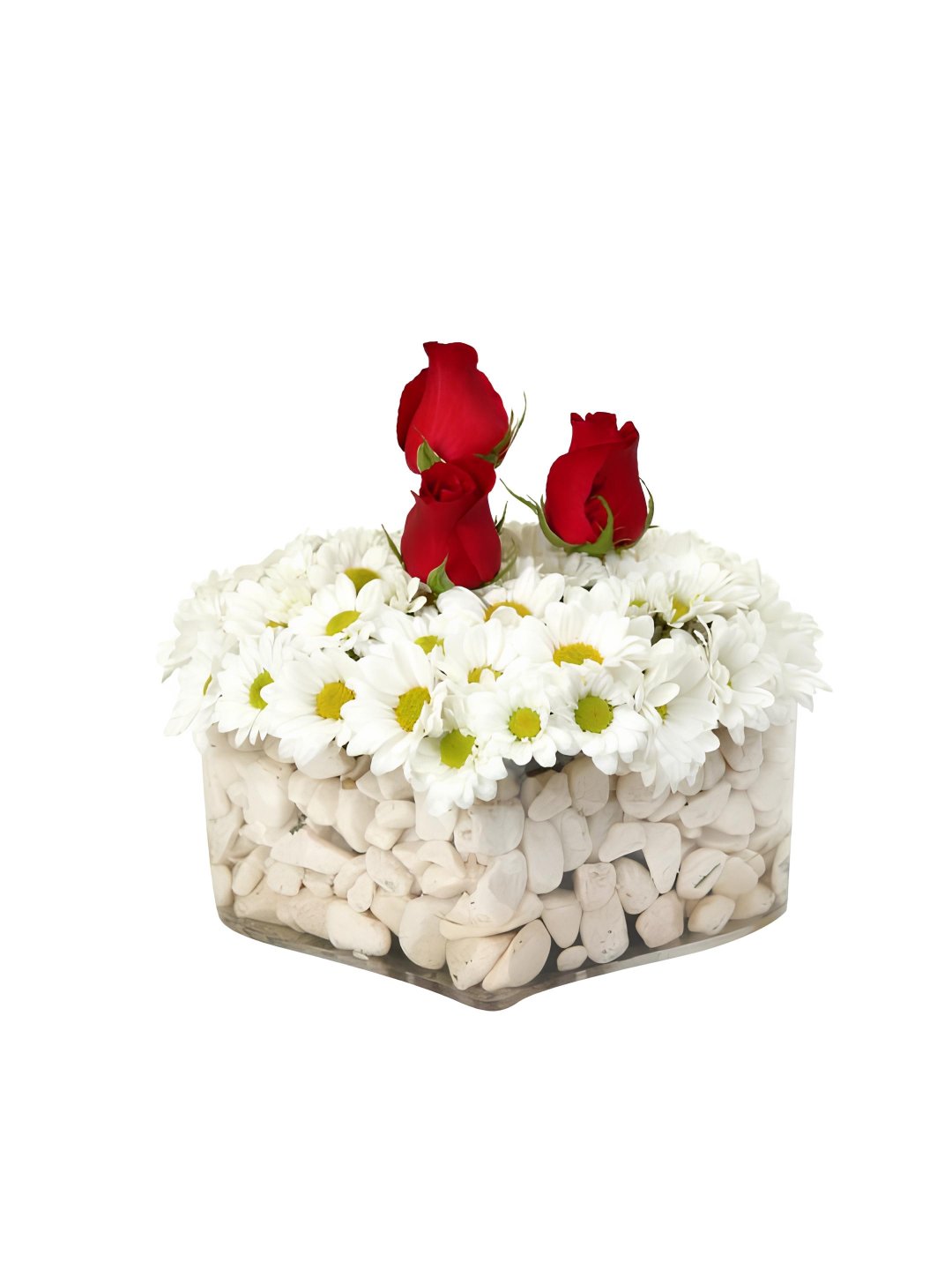 Kalp Fanusta Güller ve Papatyalar